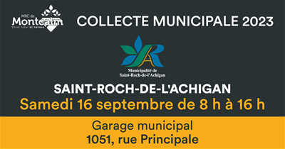 Résidus domestiques dangereux (RDD)
