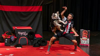 Spectacle le Chien-Show